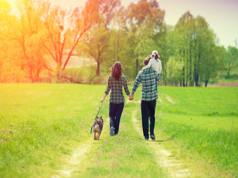 iStock-520883748